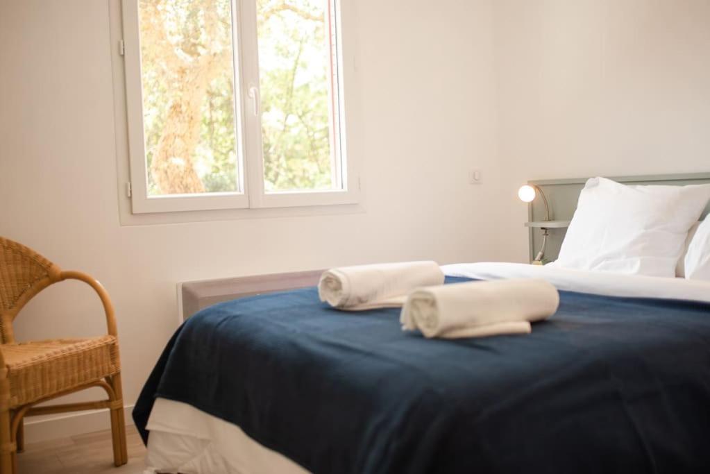 Cat'cha Ti Binta Holiday home Ondres